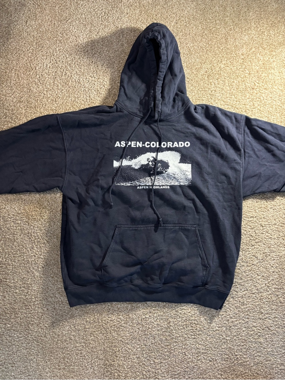 Brandy Melville Navy Aspen-Colorado Graphic Hoodie